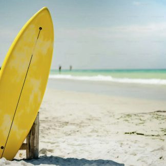 SURF